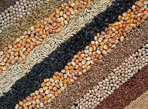 Спектр применения Ультрафита