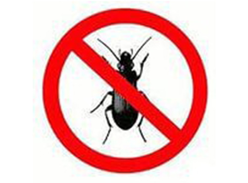 Инсектицид